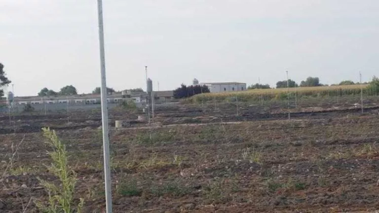 Queixes de veïns a Gimenells per pudor a l’aplicar compost en sòl agrícola