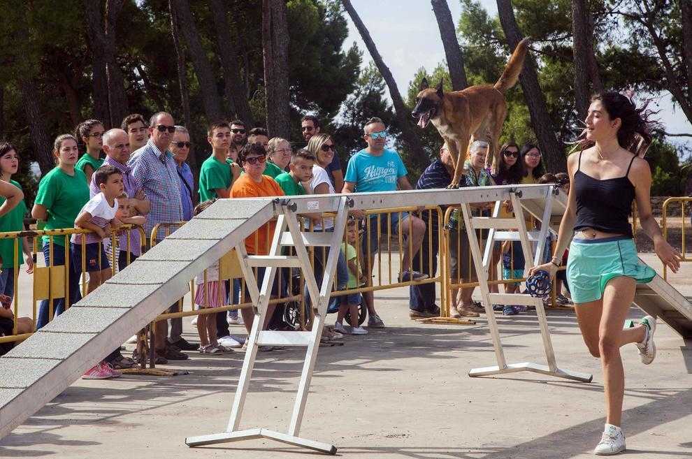Tàrrega viu un multitudinari i emotiu Aplec de Sant Eloi