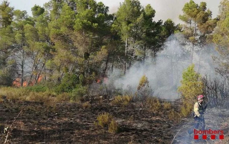 Foc de vegetació amb cinc focus diferents a l'Espluga Calba