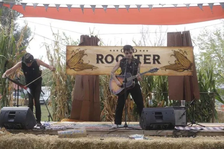 Festival Old Rooster a la Saira amb sons folk country