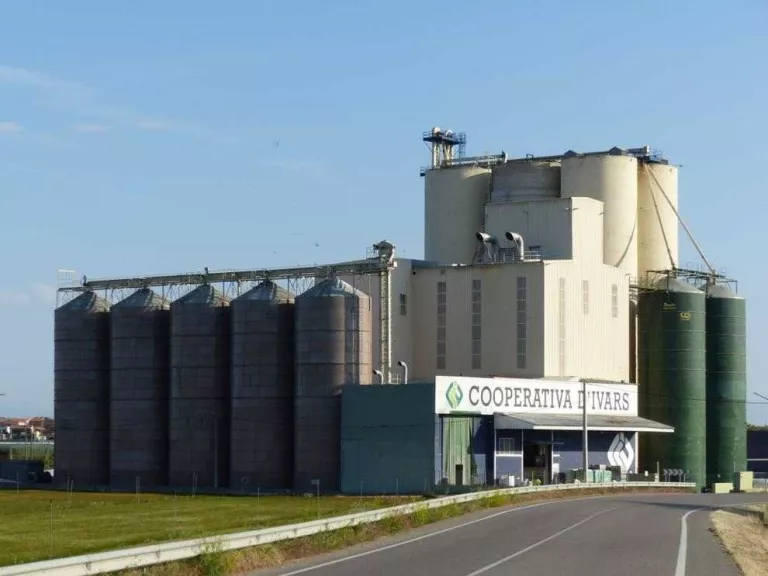 La Cooperativa d'Ivars rep un certificat de qualitat pels pinsos