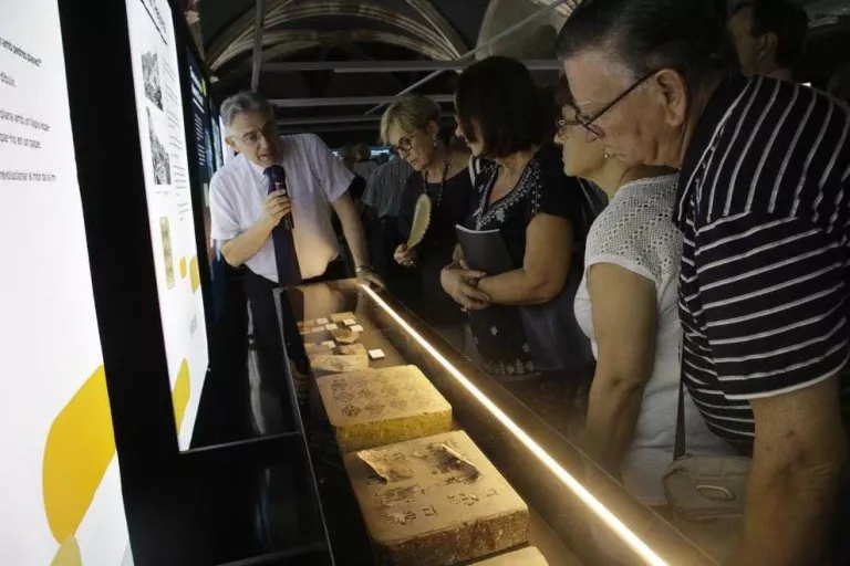 L'IEI inaugura la mostra de fòssils amb unes 150 peces procedents del seu fons
