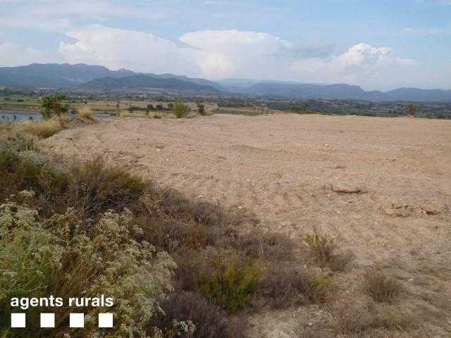 Denunciada una empresa agrària per actuar sense permís