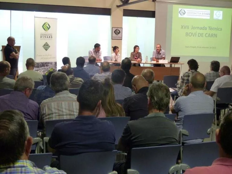 El pastone confirma les seues qualitats per alimentar vedells