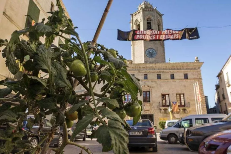 Tomatera a la plaça Major de Cervera