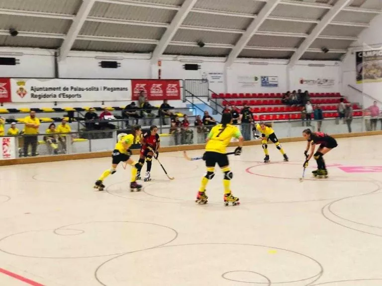 El Vila-sana cau a la pista del Palau de Plegamans