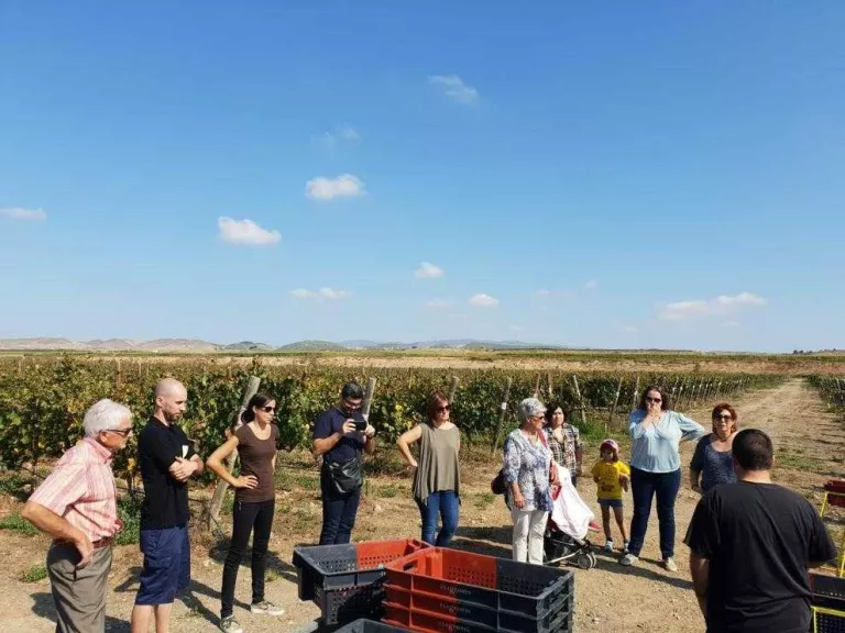 Lagravera, primera verema col·laborativa per a un vi solidari