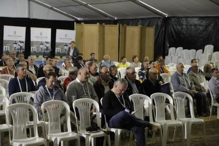 Els ametllers en reg ja produeixen 1.500 kg per ha