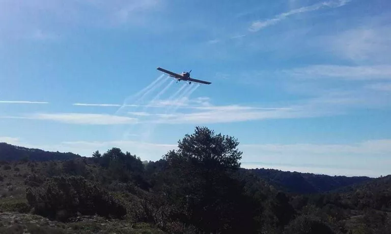 Tractament aeri contra la processionària del pi