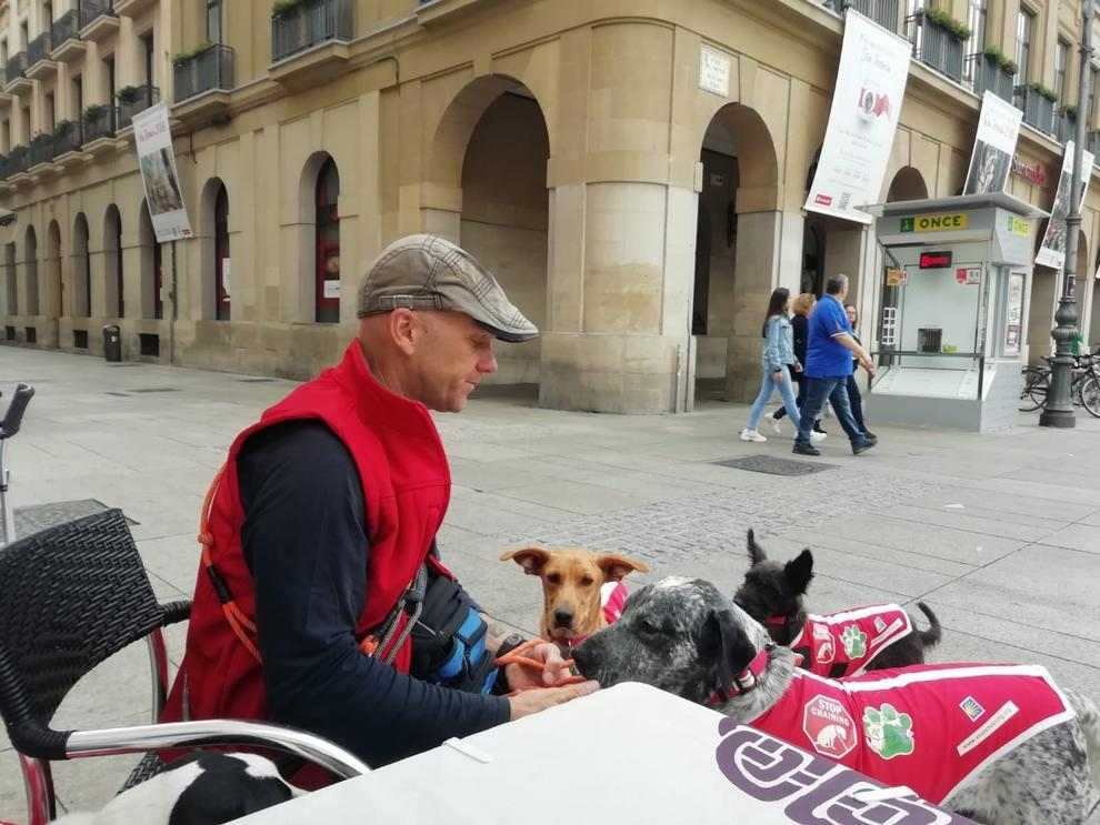 Cinc gossos d'una protectora inicien el Camí de Sant Jaume per buscar família
