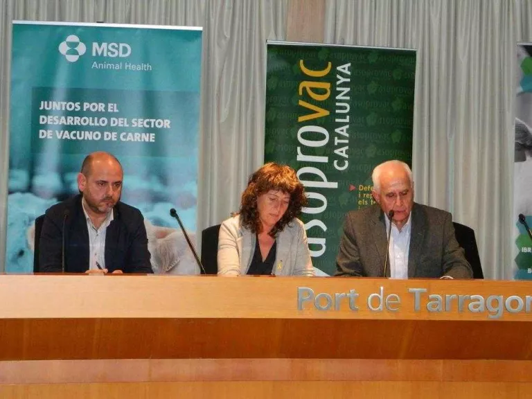 El sector boví adverteix que ha “de mimar l'exportació'