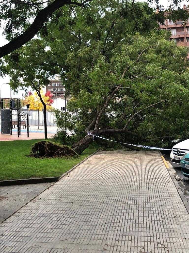 Insten a canviar arbres d’un parc infantil al caure’n un