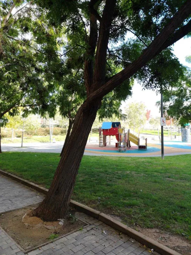 Insten a canviar arbres d’un parc infantil al caure’n un