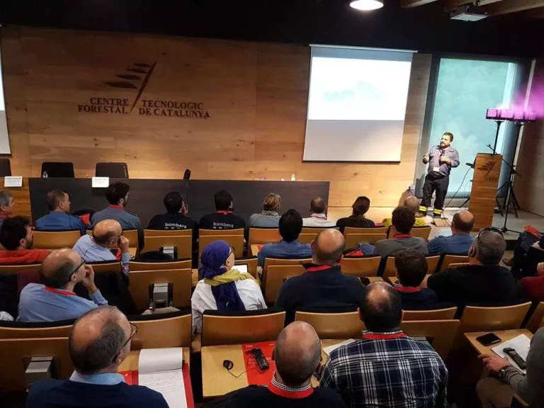 Alerten de l'alt risc de megaincendis forestals