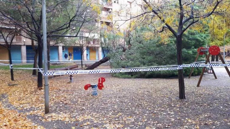Precinten una plaça per la caiguda d’un arbre a Lleida