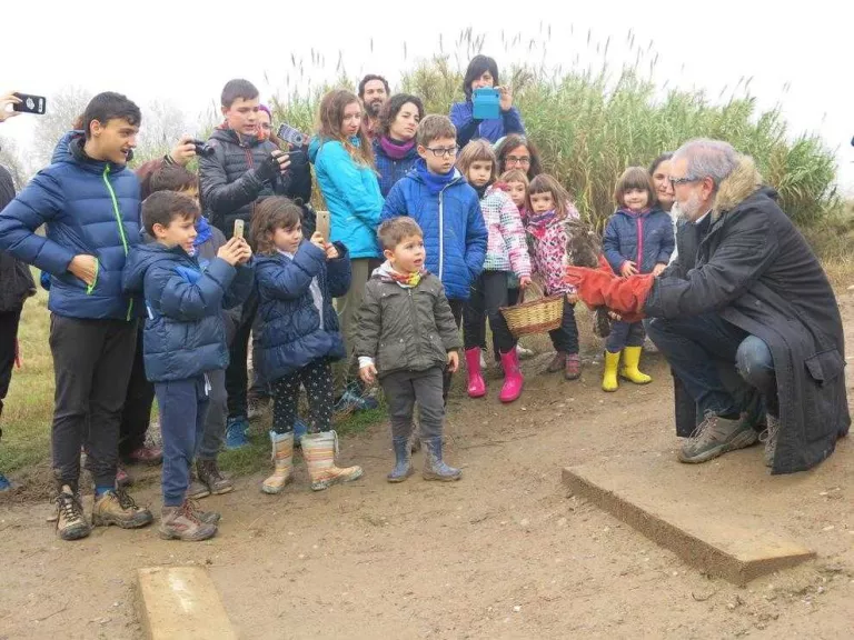 Inaugurada la millora ambiental i paisatgística dels aiguamolls de Rufea