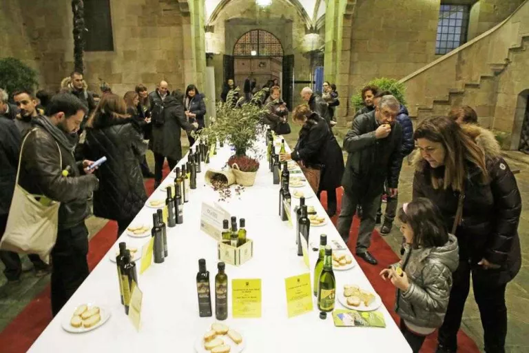 L’oli s’apropia de l’IEI