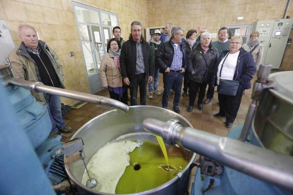 Celebrant l'oli d'oliva