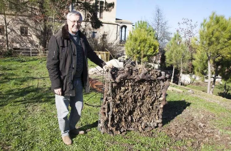 Nius artificials per traslladar les cigonyes a Bellpuig