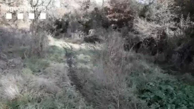 Denuncien el propietari d’una granja per abocaments de purins