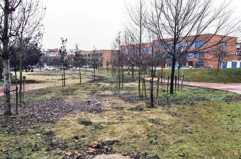 Guissona tindrà una pista per a bicicletes i patins a la Fonteta