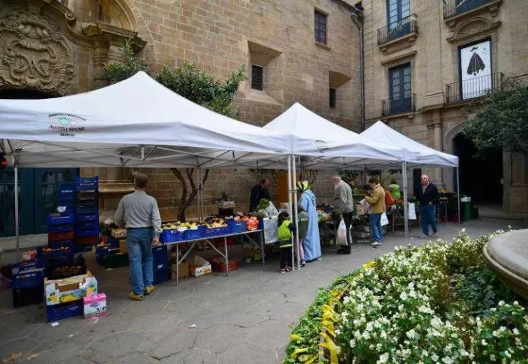 Solsona vol ampliar amb vuit parades el mercat del centre