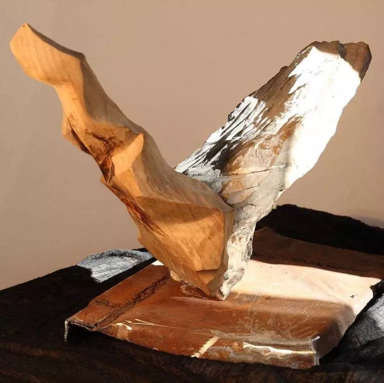 Art del Pirineu per al guitarra dels Stones, Ron Wood