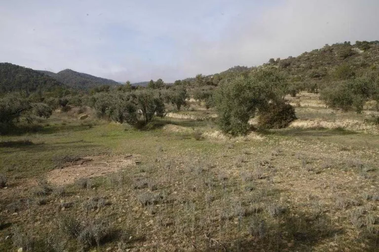 Mocions als ajuntaments contra l'abocador industrial de Riba-roja