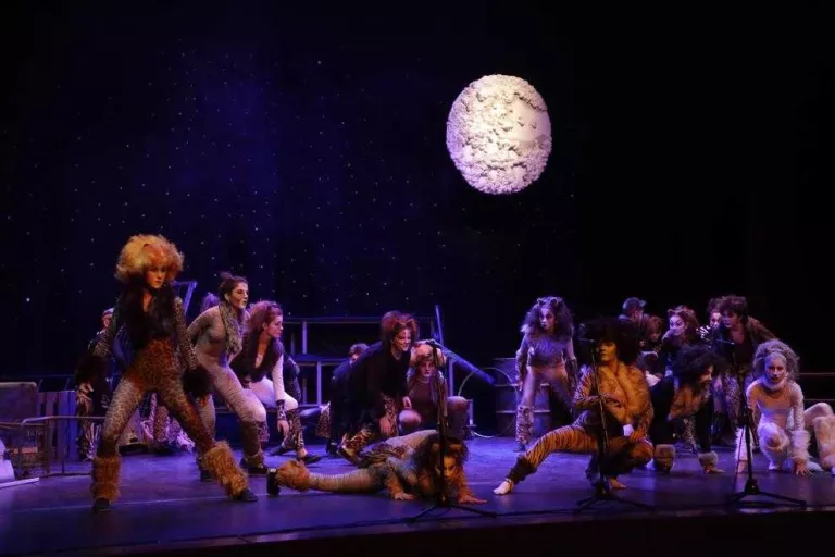 Obra de teatre solidària en benefici d’Aspid