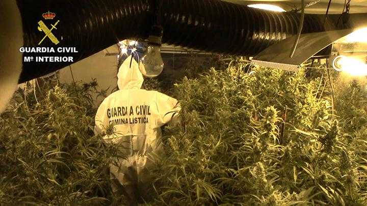 Sis detinguts per una partida de 13 quilos de cocaïna i 4 d’heroïna