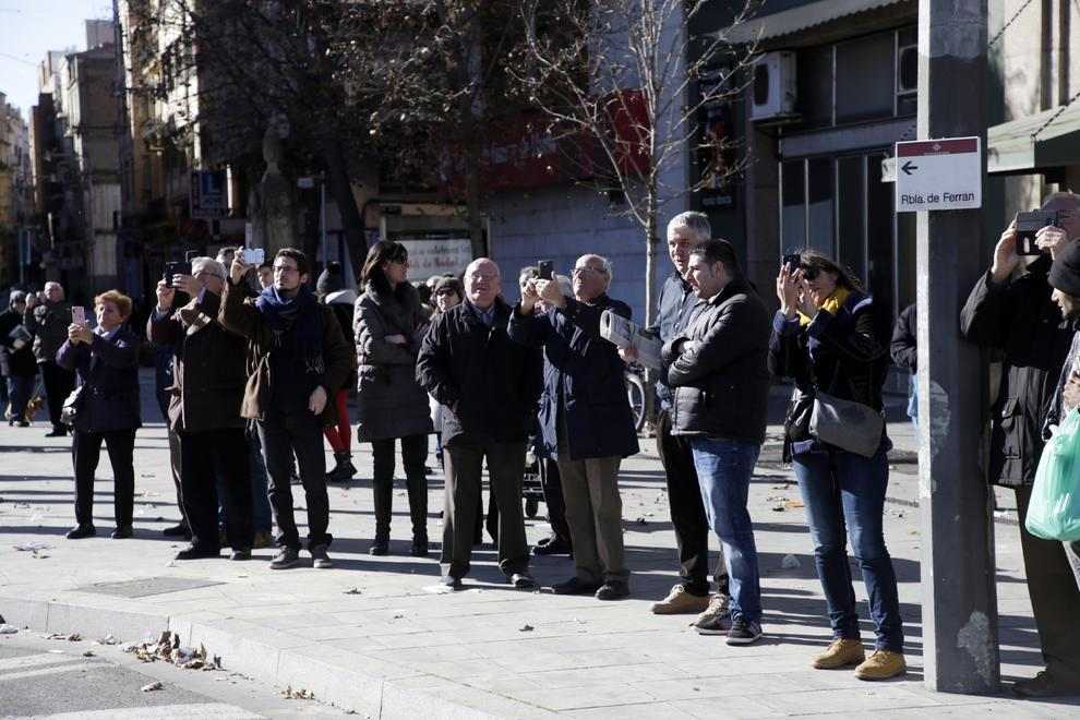 Trasplantats els dos grans arbres per poder alinear Príncep de Viana amb el pont