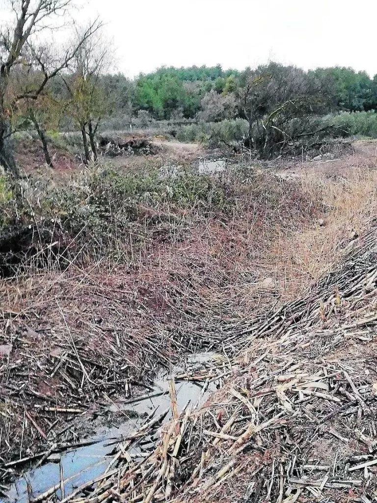 El curs on capta aigua la granja denunciada per Ipcena.