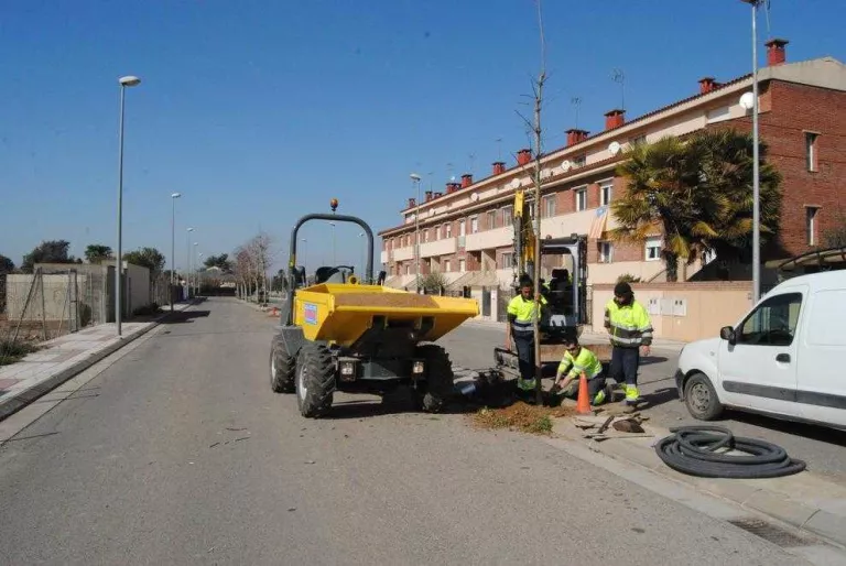 Mollerussa inicia la recollida de restes de poda i jardí