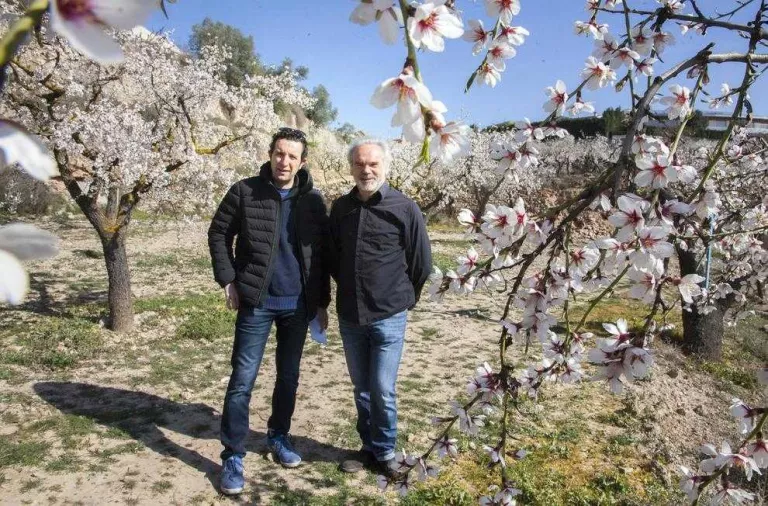 ‘Diàlegs’ a Cervera, amb un passeig entre ametllers florits