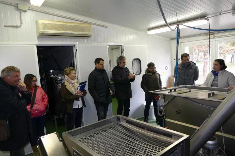 Experts en l'oli visiten molins de l'Urgell i les Garrigues