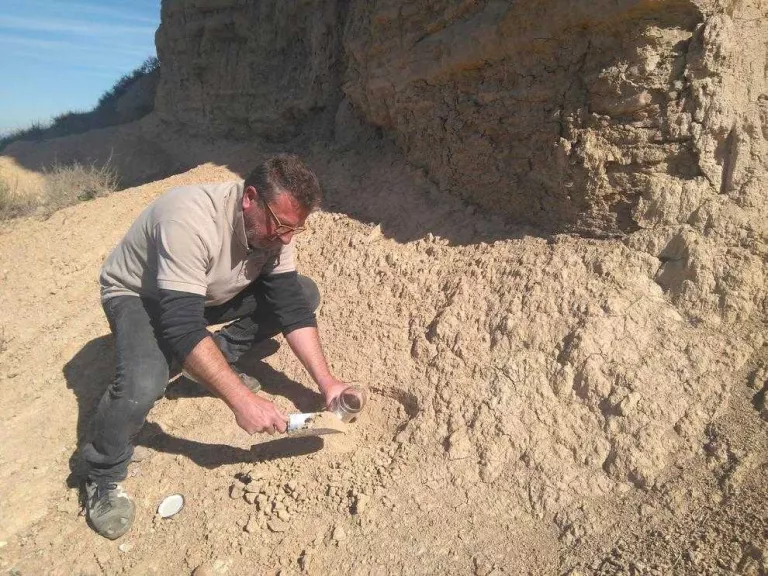 Terra d’Almacelles per a una exposició inèdita