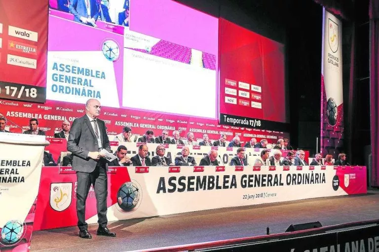 El lleidatà Subies dimiteix de la Federació Espanyola