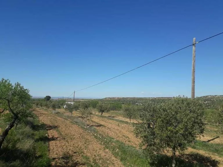 Granyena es queda sense telèfon pel robatori de cable