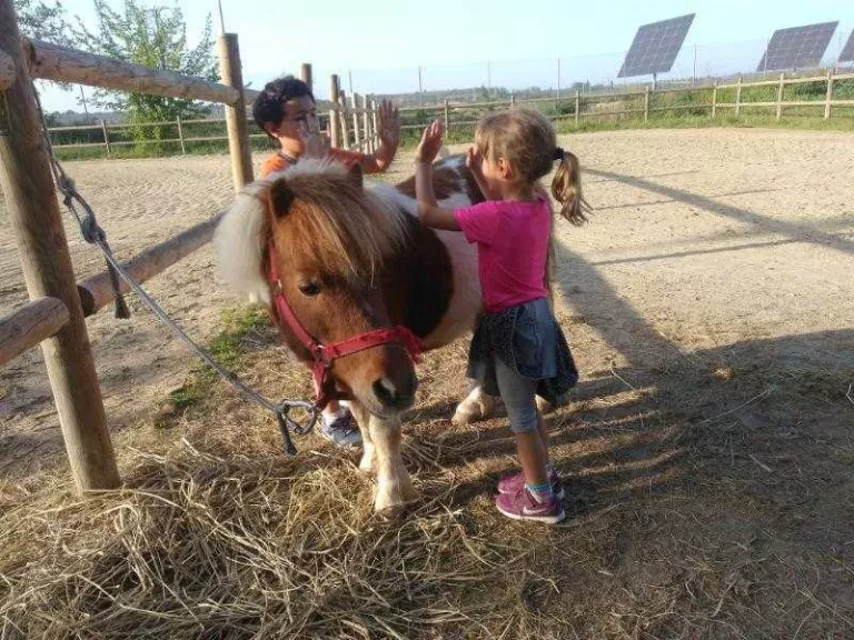 Juneda obre enguany la segona escola bosc de les Garrigues