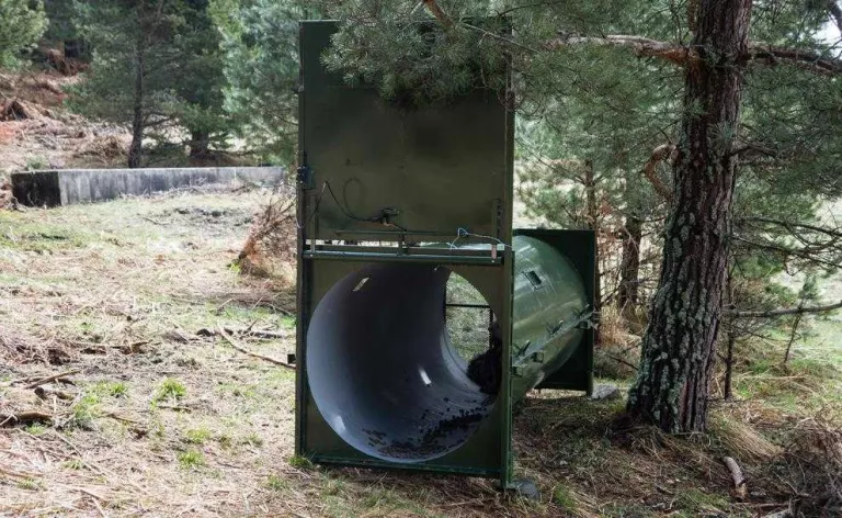 Despleguen cinc gàbies a Aran i el Pallars Sobirà per capturar óssos i col·locar-los un GPS