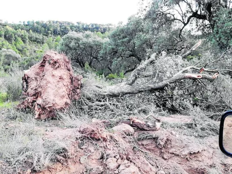 Denuncien danys per l’abocador de Riba-roja