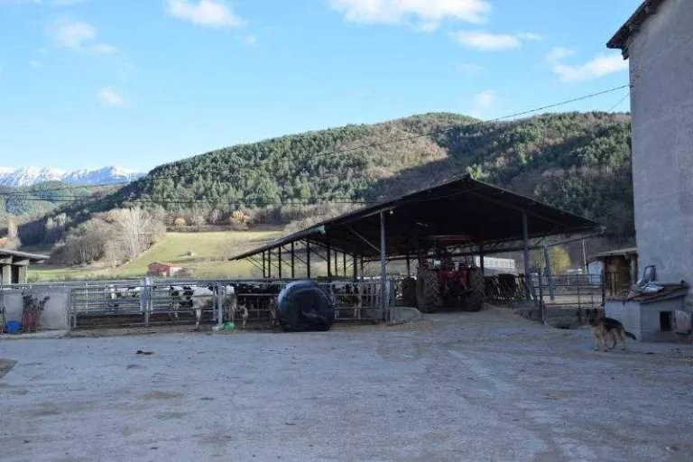 Ramaders denuncien excés de controls a l’Alt Urgell