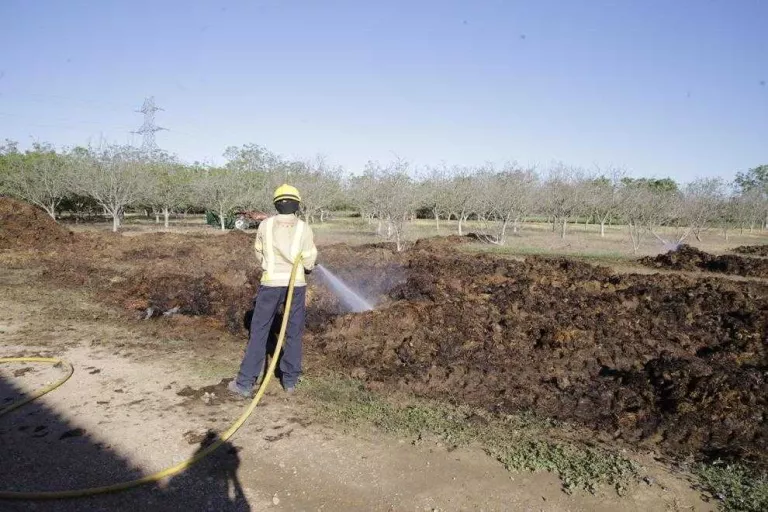 Cremen tres tones d'excrements en una granja d'Almenar
