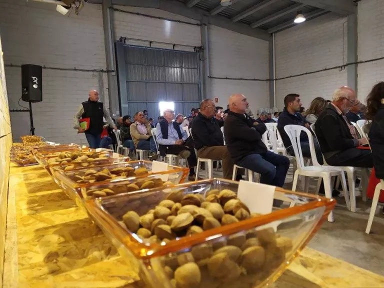La producció d'ametlles es preveu que es dispari els propers anys