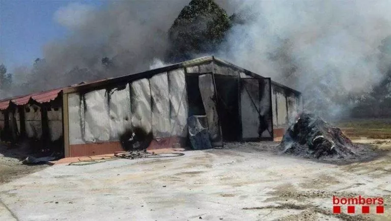 Un incendi calcina per complet una granja de Juneda