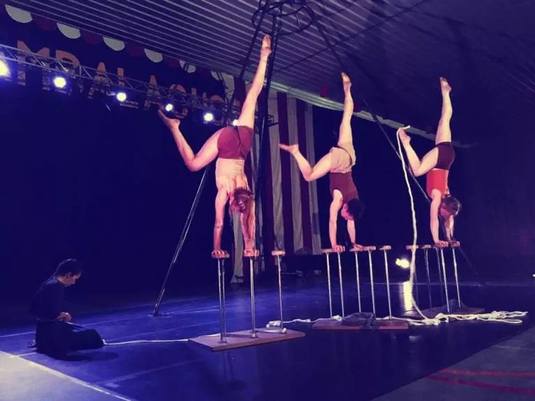 El circ pren Altorricó al festival Acambalachous