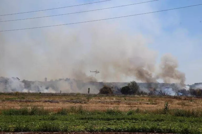 Un incendi calcina 16,4 hectàrees a l’Horta de Lleida