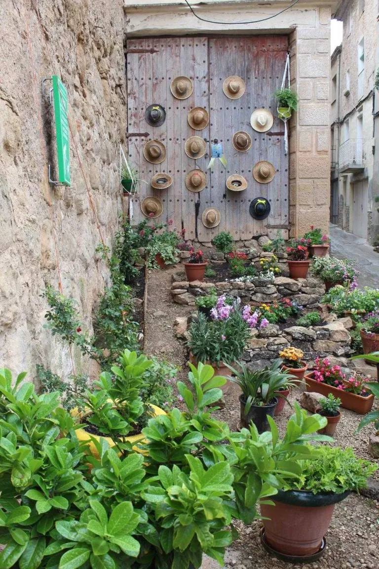 Més de 280 inscrits a les Garrigues en Flor d'aquest any