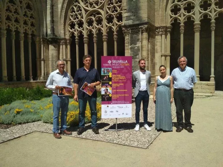 Música pop, rock i reggae a la Seu Vella les nits d'estiu