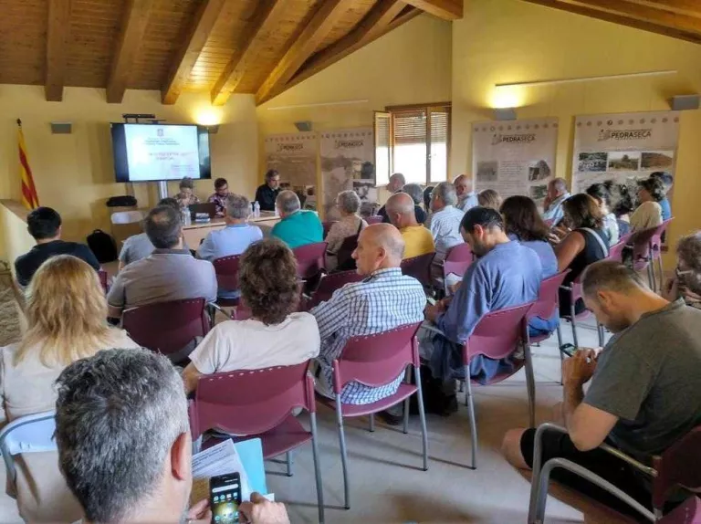 Insten a cuidar el paisatge per ‘revaloritzar’ l’oli